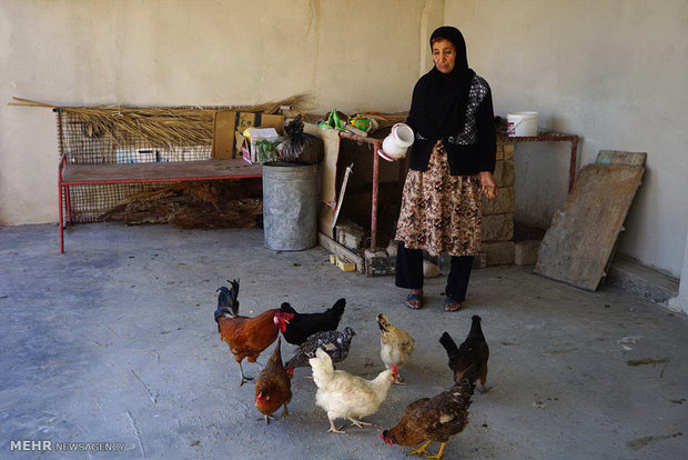 A view of daily life in Iran