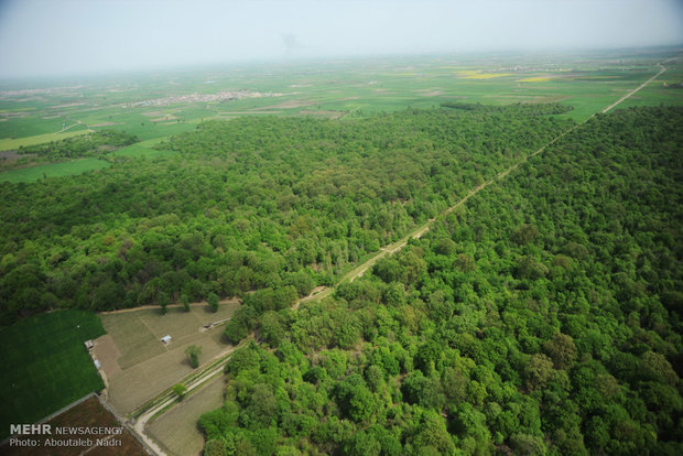 Aerial view of Golestan nature