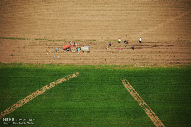 Aerial view of Golestan nature