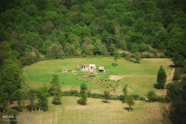 Aerial view of Golestan nature