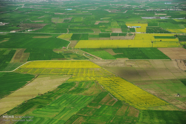 Aerial view of Golestan nature