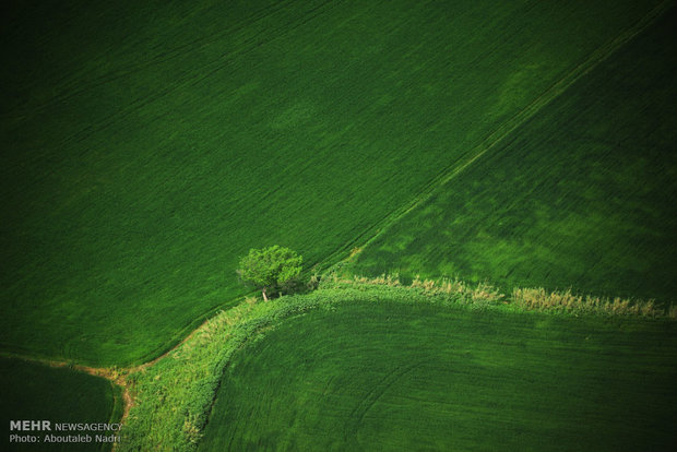 نمای هوایی از طبیعت گرگان