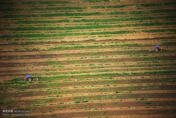 Aerial view of Golestan nature