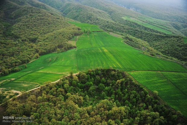 Aerial view of Golestan nature