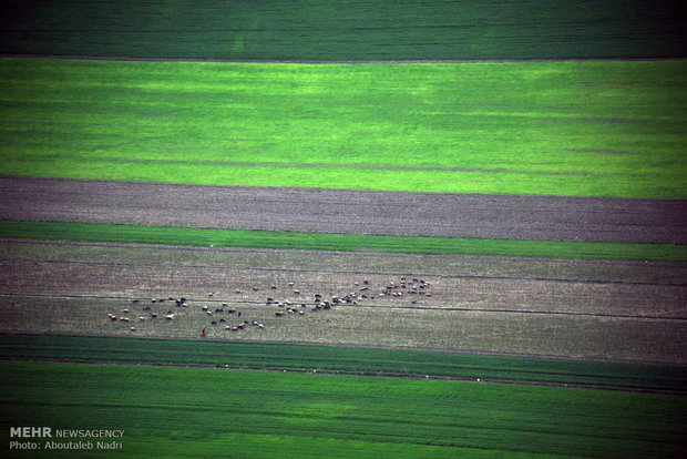 Aerial view of Golestan nature