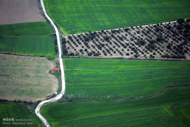 Aerial view of Golestan nature