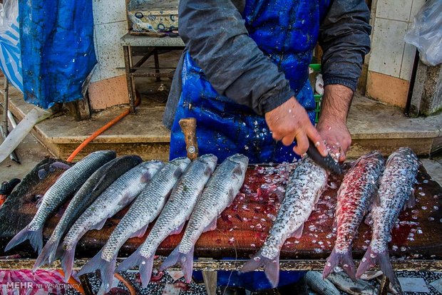 بازار ماهی فروشان رودسر