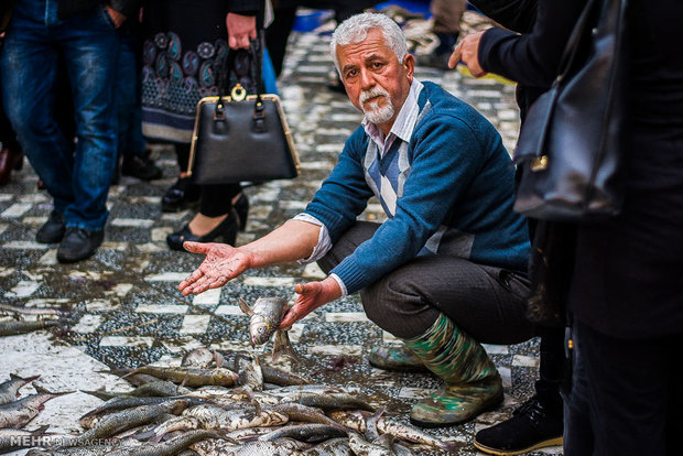 بازار ماهی فروشان رودسر
