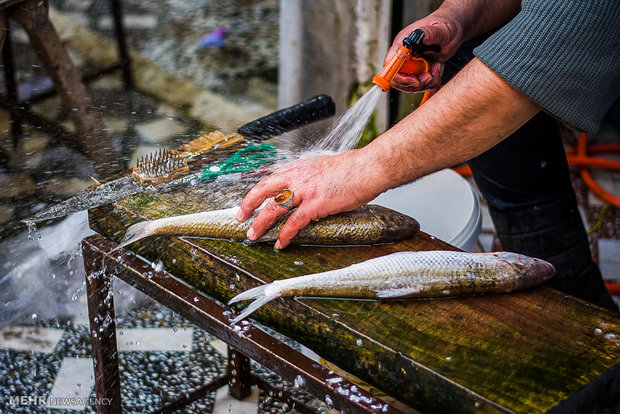 حضور اتباع عراقی علت گرانی ماهی در بازار آبادان بازار ماهی فروشان رودسر