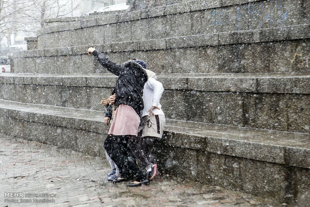  Day of Nature in Hamedan