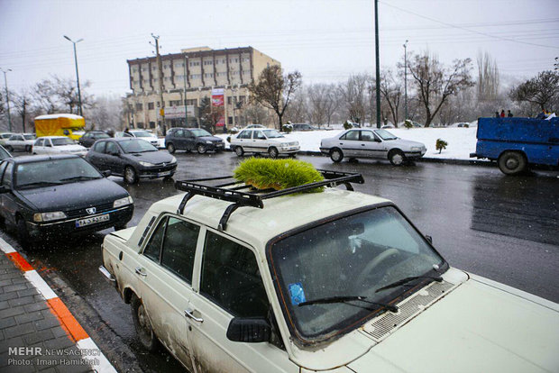  Day of Nature in Hamedan