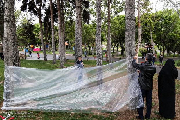 Nature Day in Tehran