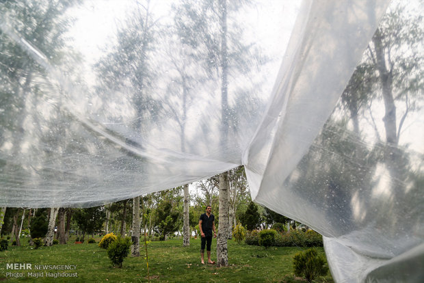 Nature Day in Tehran