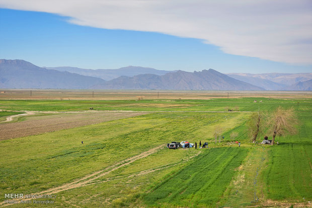 Day of Nature in Shiraz