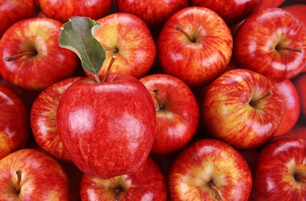 جدول نرخ جدید انواع میوه و سبزی/ کاهش۴۰ درصدی قیمت گوجه سبز