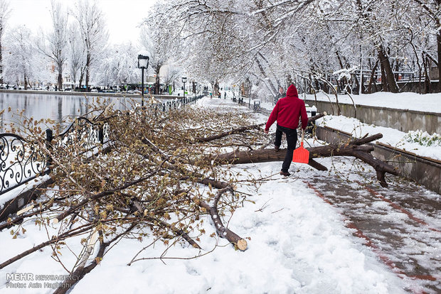 Spring snow in Tabriz