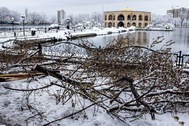 Spring snow in Tabriz