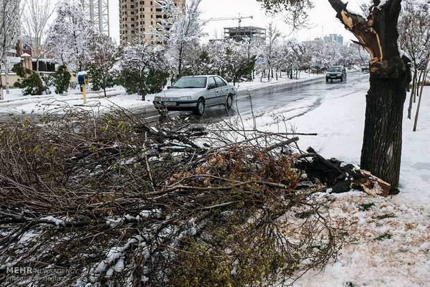 Spring snow in Tabriz