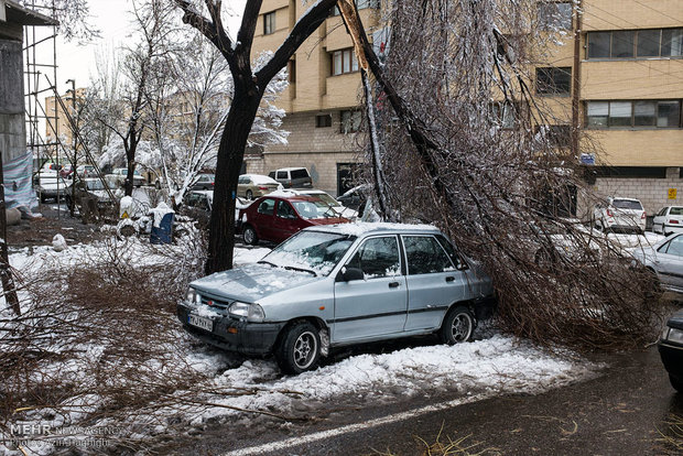 Spring snow in Tabriz