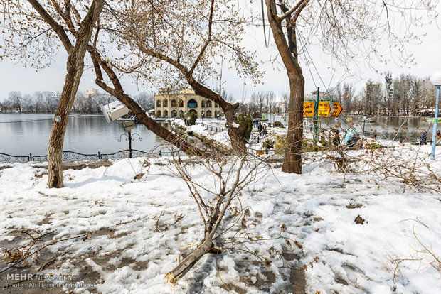 هطول الثلج في مدينة تبريز