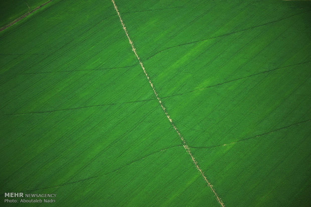 Aerial view of Golestan nature