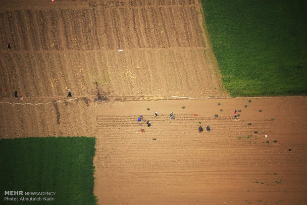 Aerial view of Golestan nature