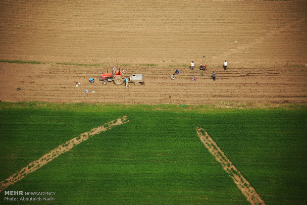 Aerial view of Golestan nature