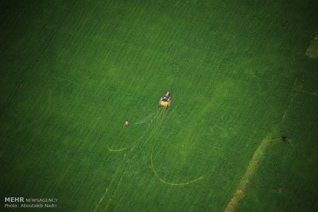 Aerial view of Golestan nature