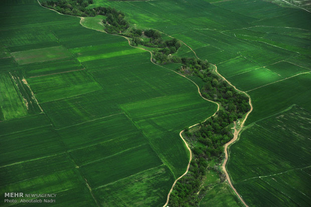 Aerial view of Golestan nature