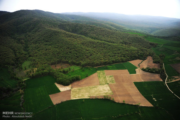 Aerial view of Golestan nature