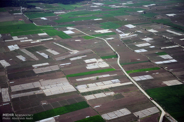 Aerial view of Golestan nature