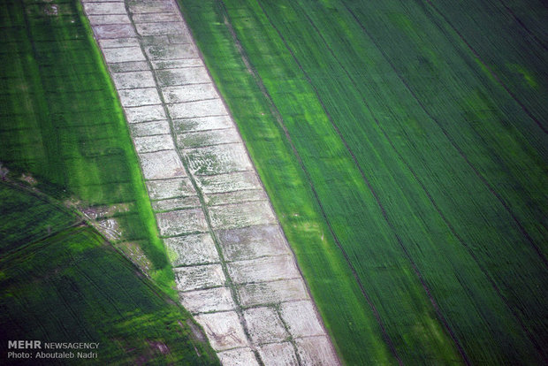 Aerial view of Golestan nature