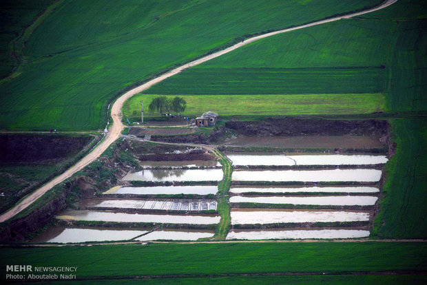 Aerial view of Golestan nature