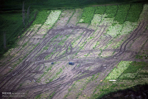 Aerial view of Golestan nature