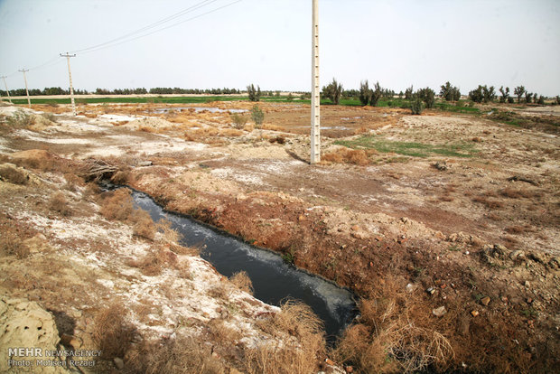 بعلت خشکسالی و کمبود آب مناسب برای زمینهای کشاورزی اهالی منطقه سیستان با شکستن لوله های فاضلاب شهری آب آلوده را وارد زمینهای کشاورزی می کنند. این امر باعث آلودگی شدید محصولات و مردم شده است.