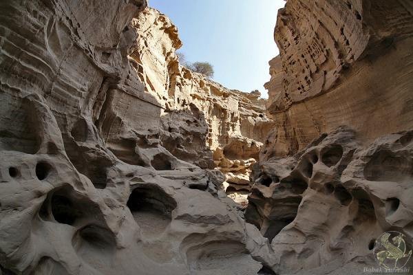 Qeshm Island hosts consortium on tourism