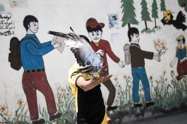 پسربچه ای در شهر زابل که در ساعات مدرسه با کبوتر خود بازی می کند و به دلیل فقر و اعتیاد به مدرسه نمیرود