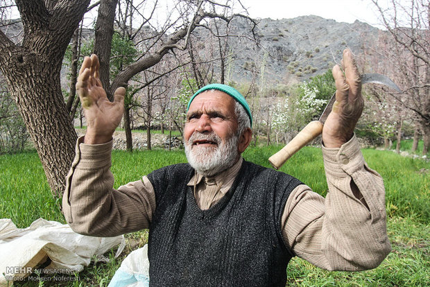 فعالان اردوهای جهادی در مناطق محروم خراسان جنوبی