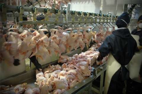 افزایش ۱۰۰۰ تومانی قیمت مرغ در بازار