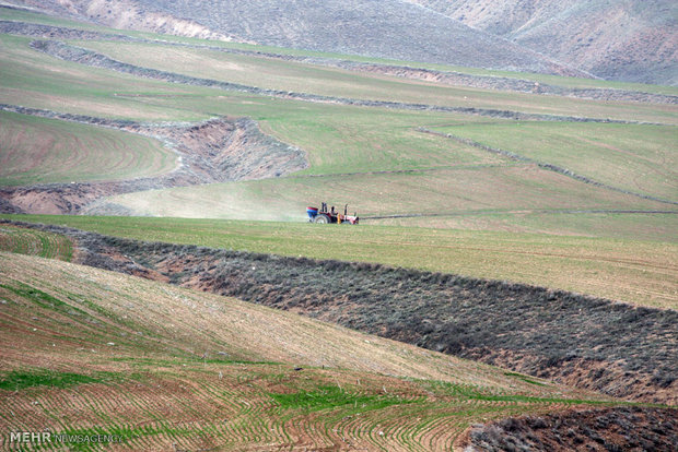 Spring nature of Zanjan