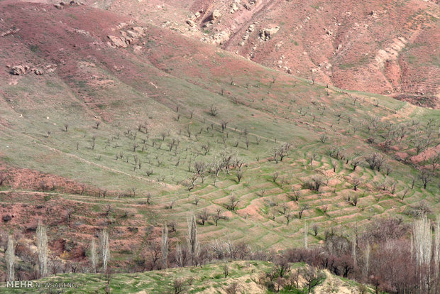 Spring nature of Zanjan