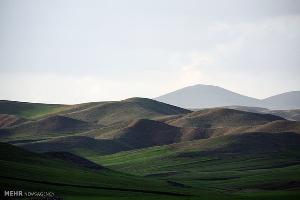 Spring nature of Zanjan