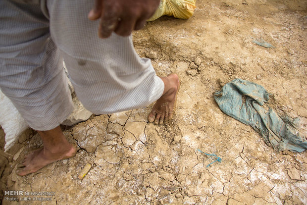 حضور یک مرد زابلی در منطقه خشک شده تالاب هامون