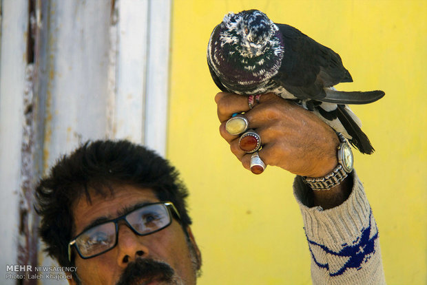 مرد دستفروش پرنده در بازار زابل