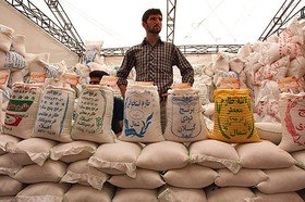 وزارت جهاد مسئول گرانی برنج در بازار نیست/ به‌شدت تحت فشارم