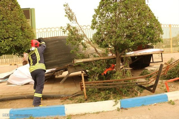 سقوط ۱۲ درخت و یک تیربرق بر اثر وقوع طوفان در کاشان