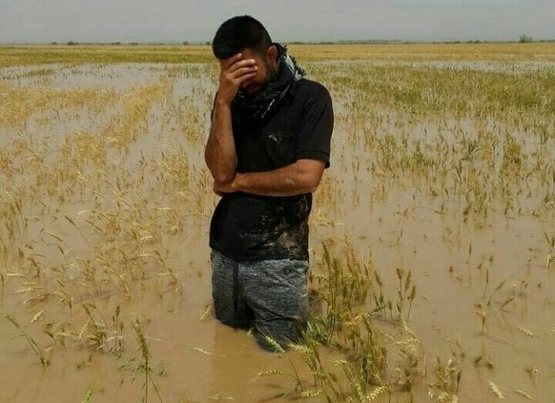 حتی یک ریال از خسارت سیل سال ۹۵  خوزستان پرداخت نشده است