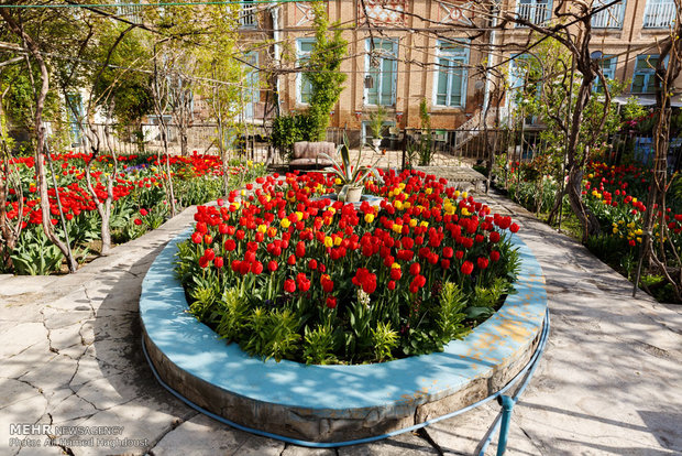 Tulip house in Tabriz