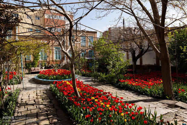 Tulip house in Tabriz