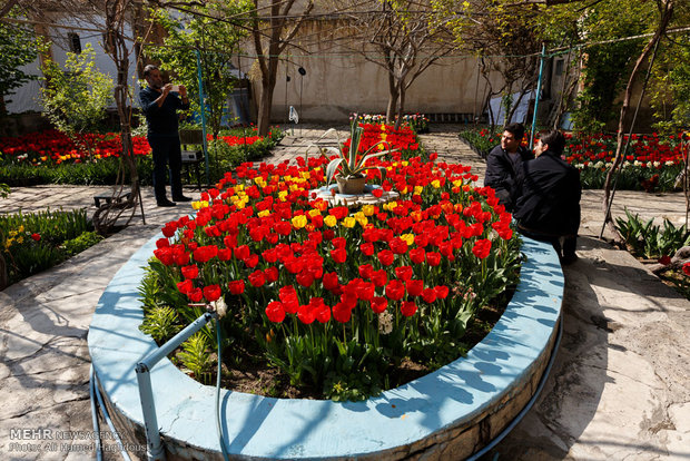 Tulip house in Tabriz